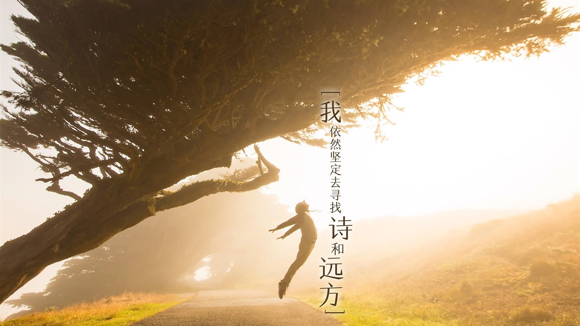 当雄鹿的角撞上华南虎的利齿，德文·布克如何在一场不可能的比赛中定义完美