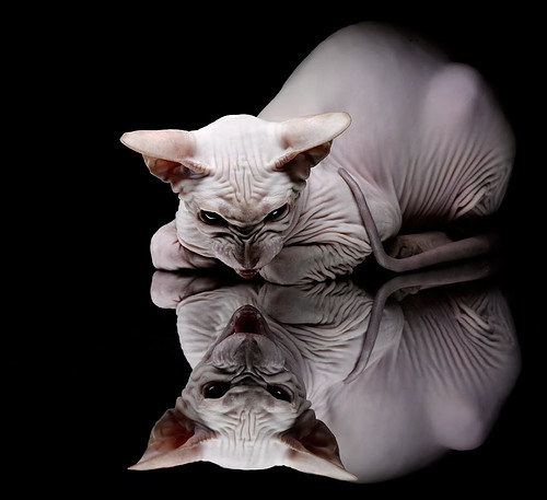 指纹印刻，德罗赞用黑色墨水中投，在盐湖城写下不可复制的决胜法则