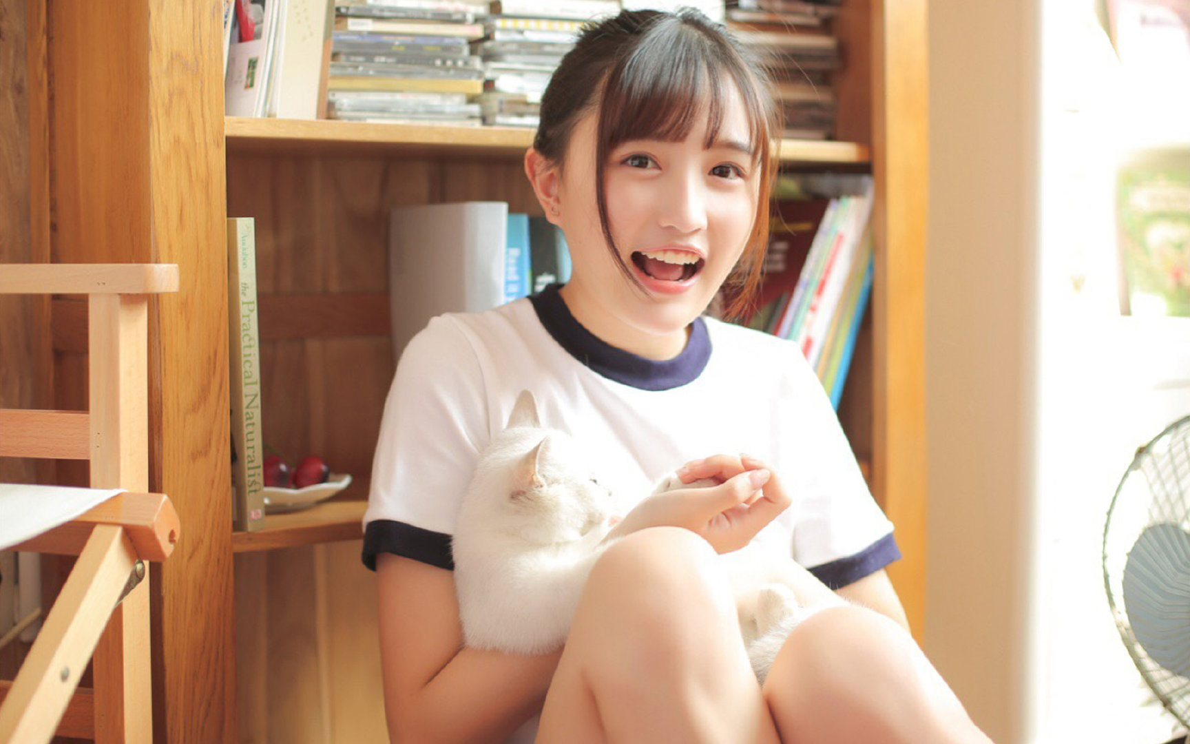 历史公牛用节奏击败现代快船，约基奇跨时空指导成关键