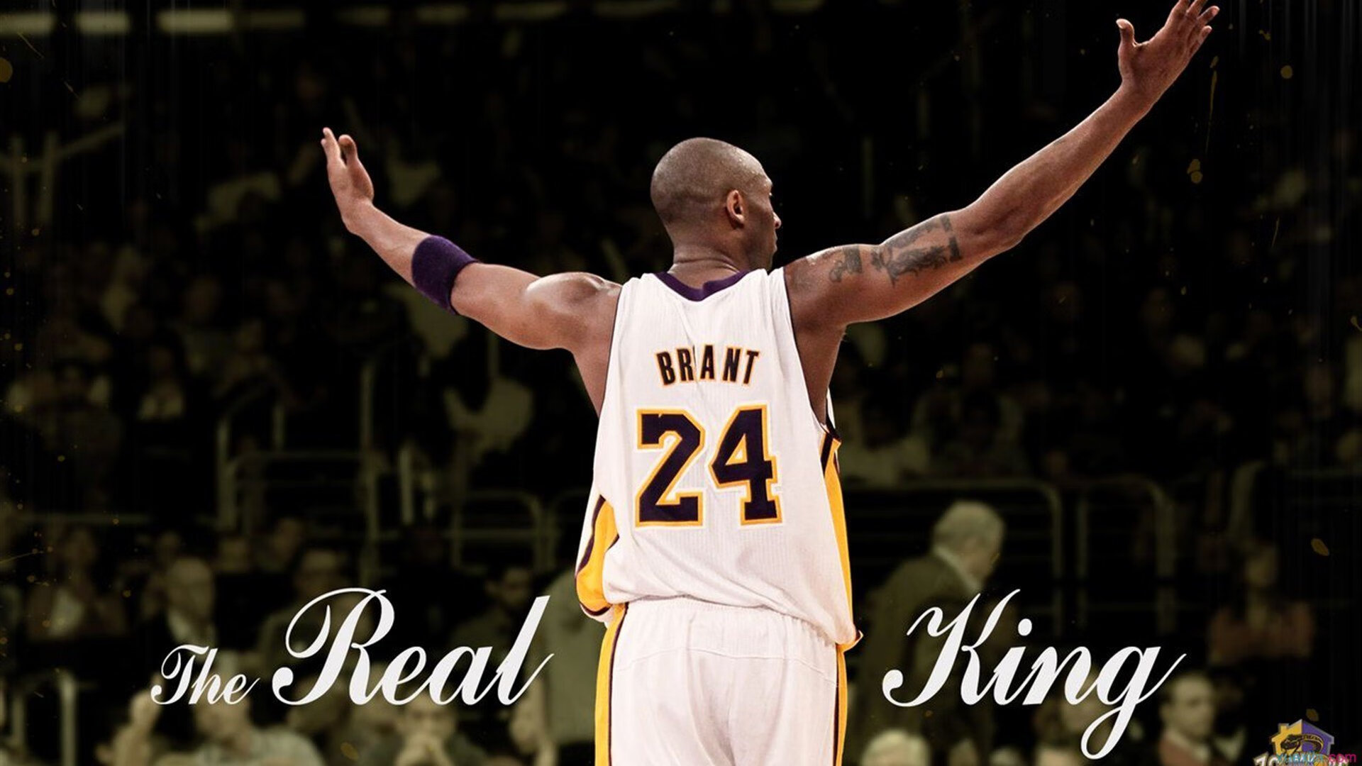 梦幻联动,多特蒙德逆转加拿大,弗拉霍维奇在NBA总决赛接管比赛