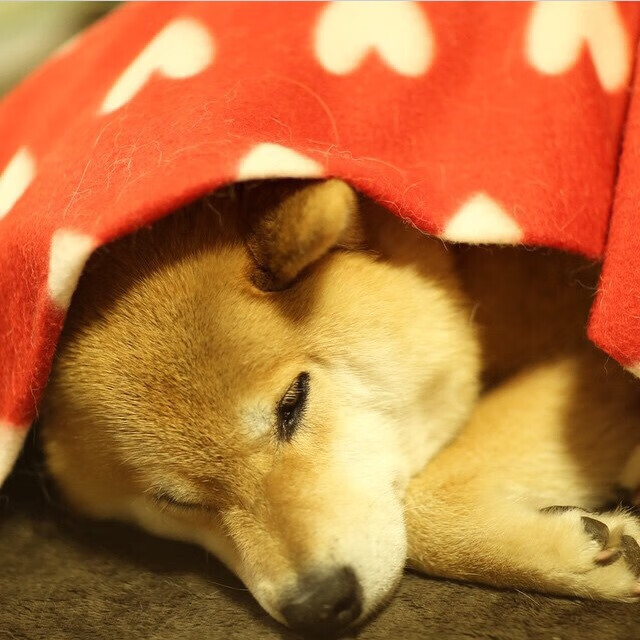 乔治独舞黄龙，一场定义完美的个人英雄主义交响