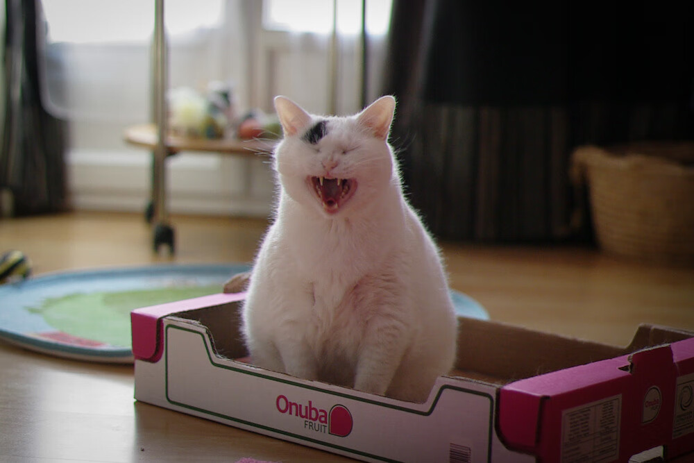 尤文热身赛击败突尼斯，卡塞米罗2026世界杯接管比赛的序曲