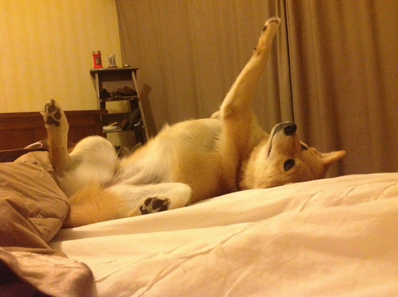 冰与火,银与血—当F1引擎点燃平行时空的战栗