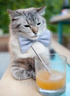 末节之王降临，英格拉姆单骑救主，黄蜂逆袭灰熊晋级