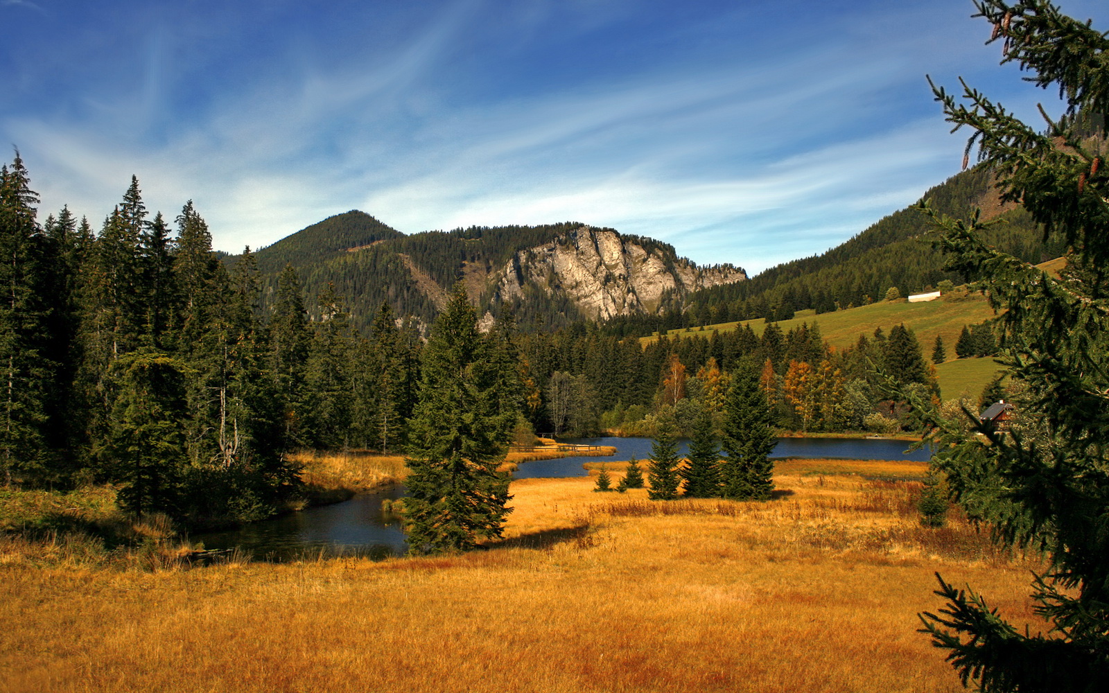 当内马尔翻看数据板沉默，姆巴佩提前离场，这一夜，巨星们目睹新王在无声中加冕