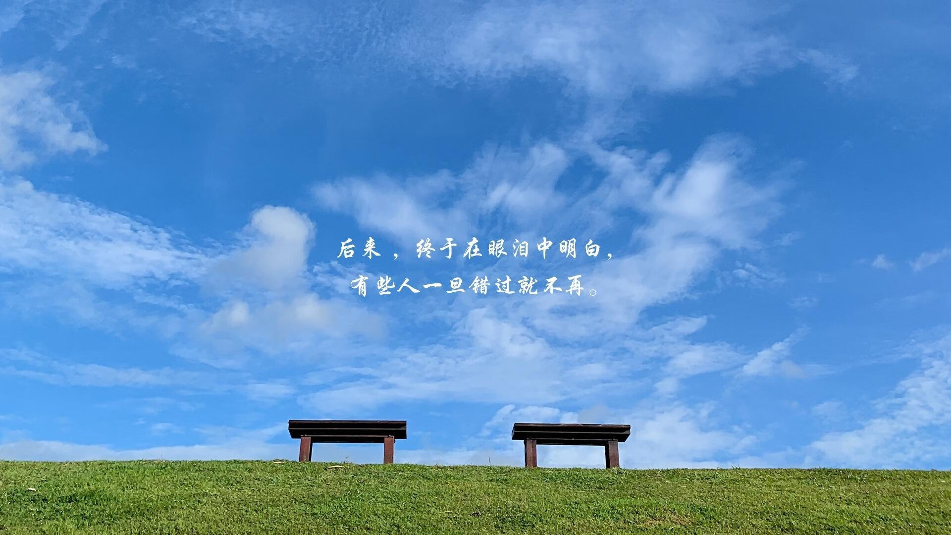 双重逆转,速度与寂静中暗涌的同一哲学