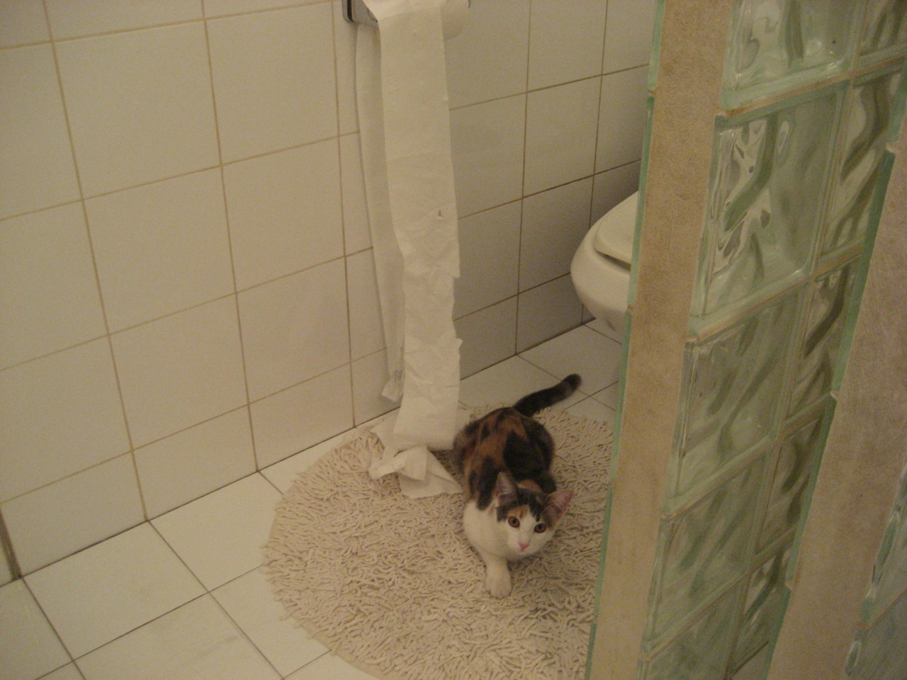 终场前的一刀，威尔士红龙如何咬碎美国青春风暴，奥亚尔萨瓦尔成为沉默的终曲者