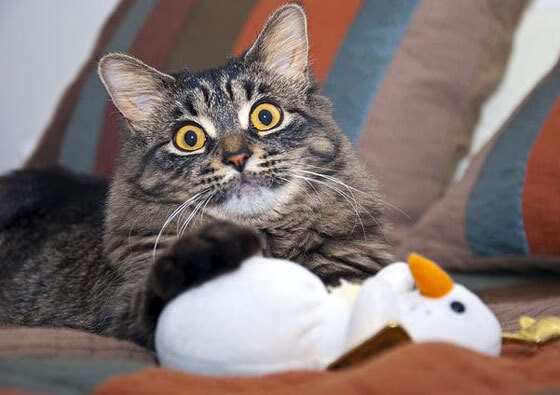 时光倒转！38岁莫德里奇再演关键先生，皇马险胜莱比锡剑指八强