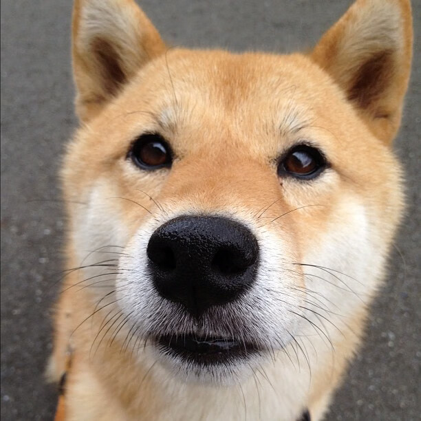 慈善赛盛宴,马德里竞技强行终结韩国,斯通斯彻底打爆防线