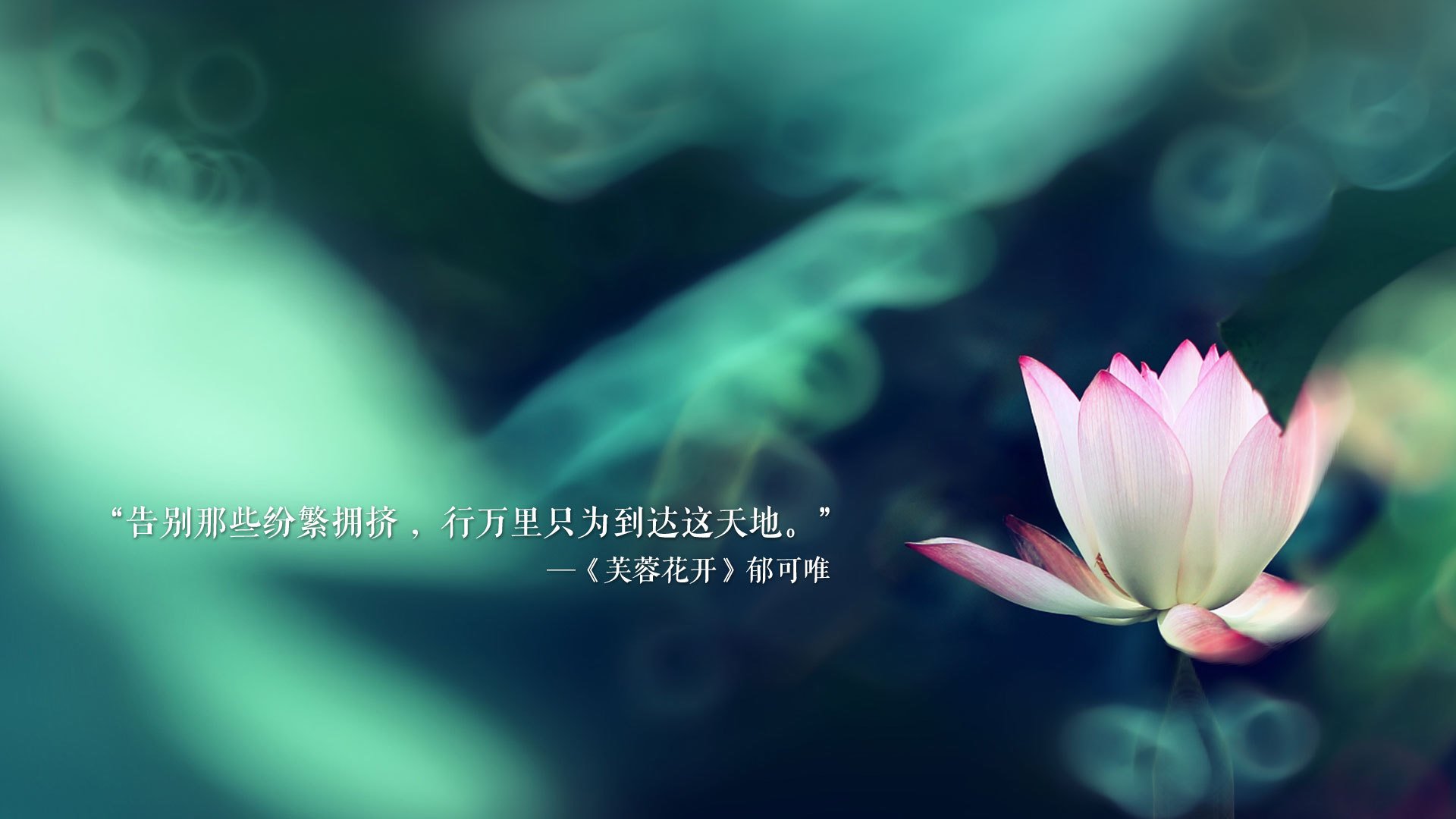 唯一的一页，当2026年的足球回家遇到比利时魔术师的终章